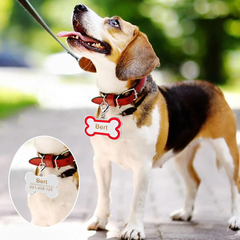 Бесплатная гравировка ошейник для собак и кошек аксессуары украшения ID