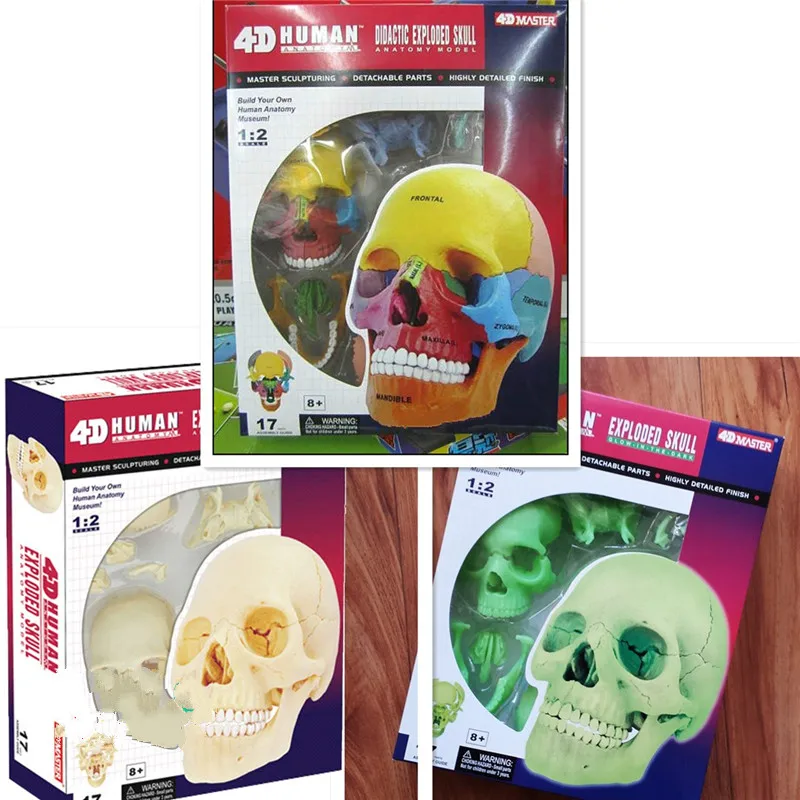 Оригинальный цвет флуоресцентная Хроматическая кость 4d мастер головоломка