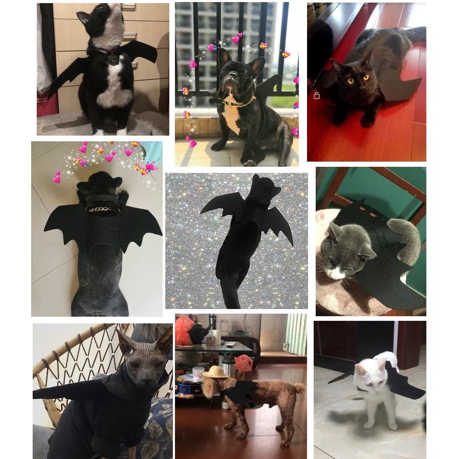 2019 Хэллоуин для домашней собаки костюмы крылья летучей мыши вампир черный милый