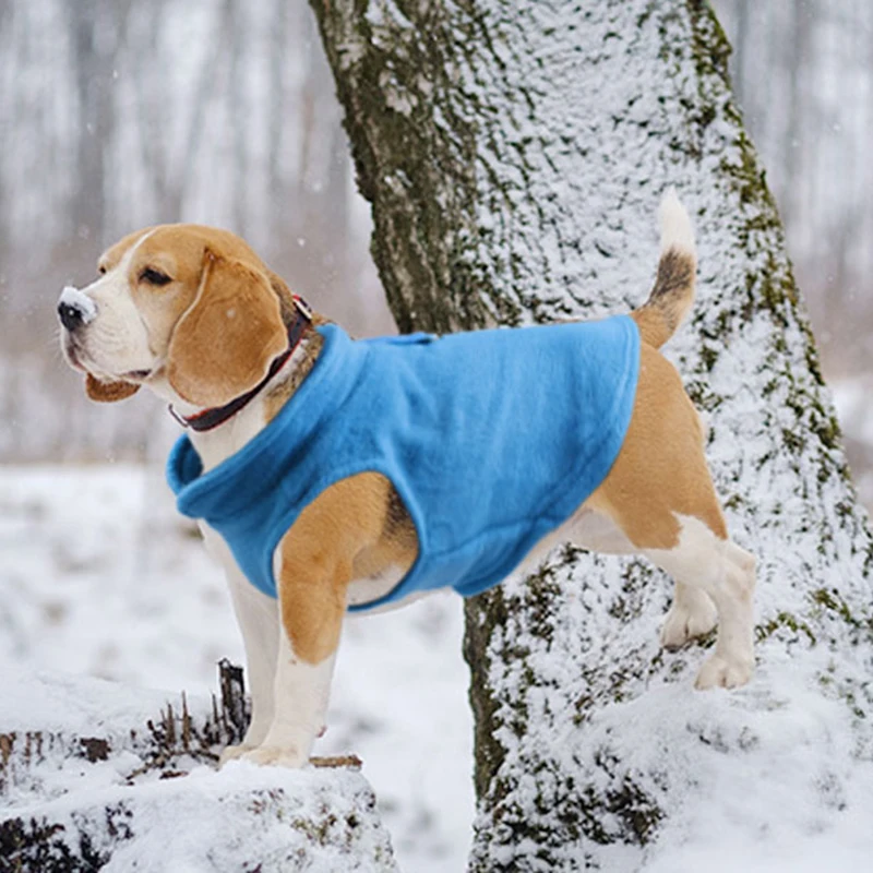 Футболка с Мопсом Pet Одежда для маленьких собак породы Йоркширский терьер