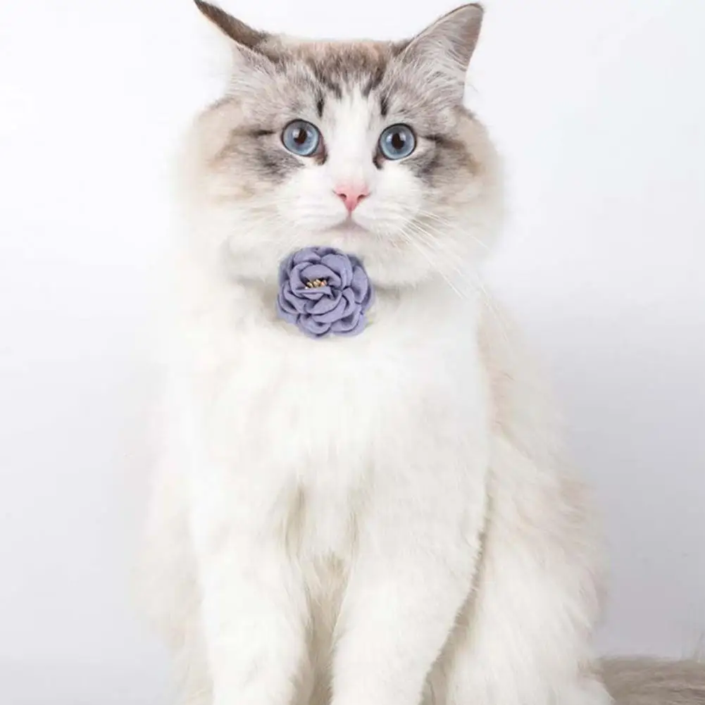 

Fine Craftsmanship Lovely Floral Pet Cats Collar Soft Pet Collar Strong for Taking Photo