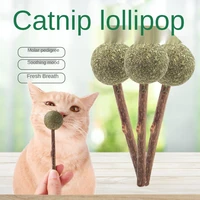 hair ball cat molar teeth cleaning stick natural mutian polygonum cat snacks catnip lollipop