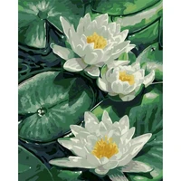 gatyztory diy water lily pictures by number kits handpainted paintings art painting by numbers landscape drawing on canvas home
