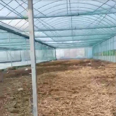 Пластиковая сеть для животноводства и домашней птицы птиц в саду рыболовная