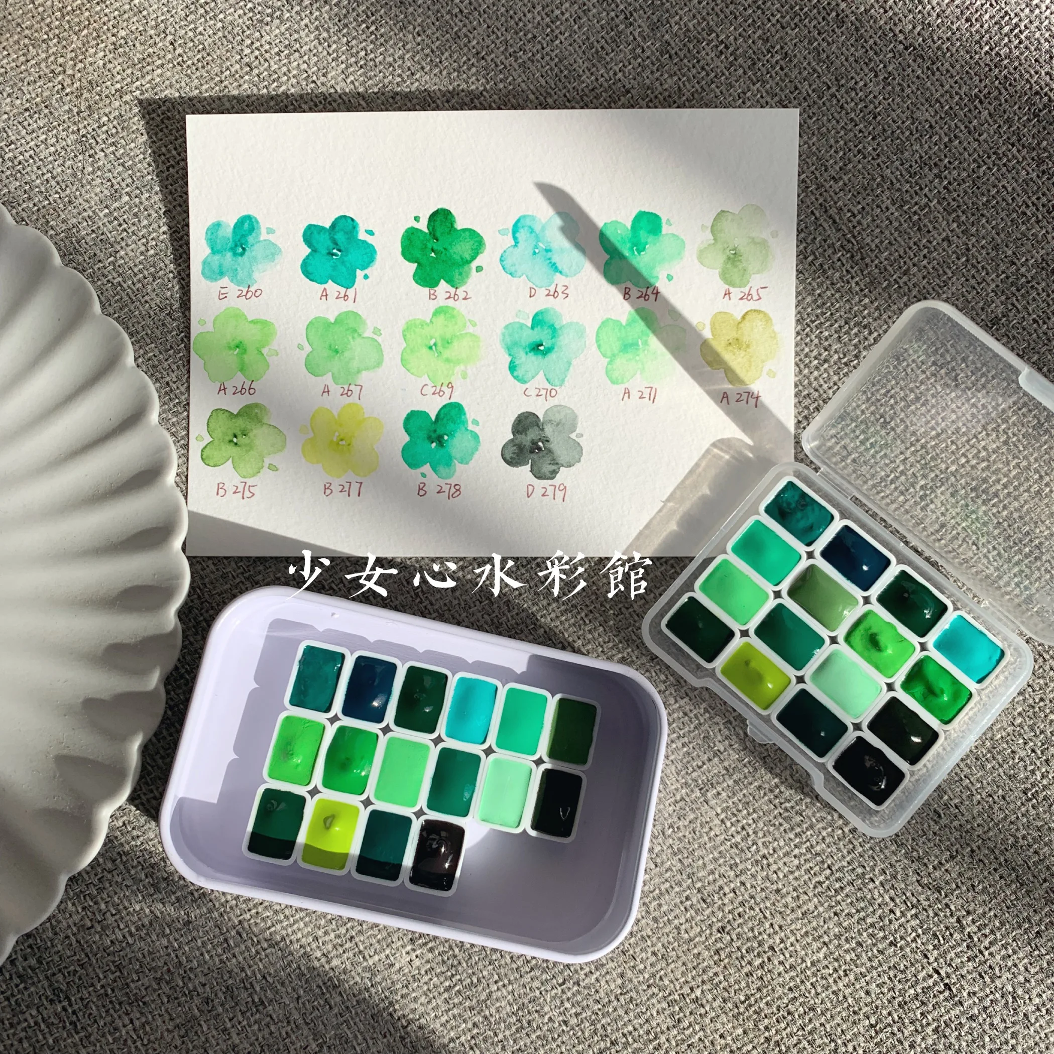 

Japan Original Holbein Watercolor Paint Green Full Color Acuarelas 16 Colors Water Color Forest Plant Background, Sub Packaging