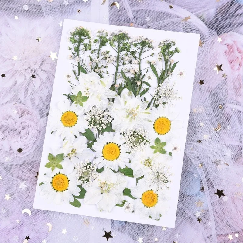 

36 Pcs Dry Flower Pressed Flower Pack Real Flowers For Drop Earring Jewelry Making Resin Plate Coater Making Phone Cases DIY