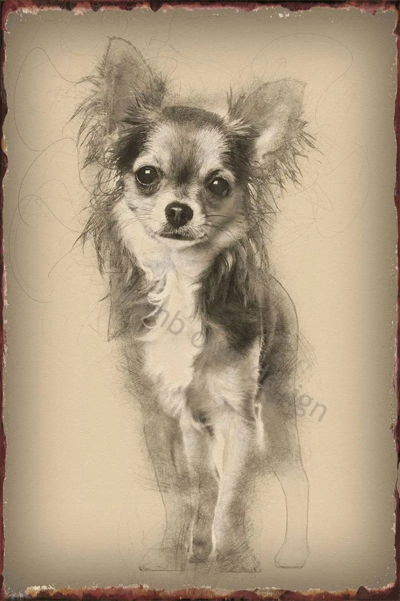 

Жестяная Табличка с собакой Чихуахуа 7 месяцев, металлическая вывеска, Оловянная табличка, Настенный декор в стиле ретро, винтажный декор дл...