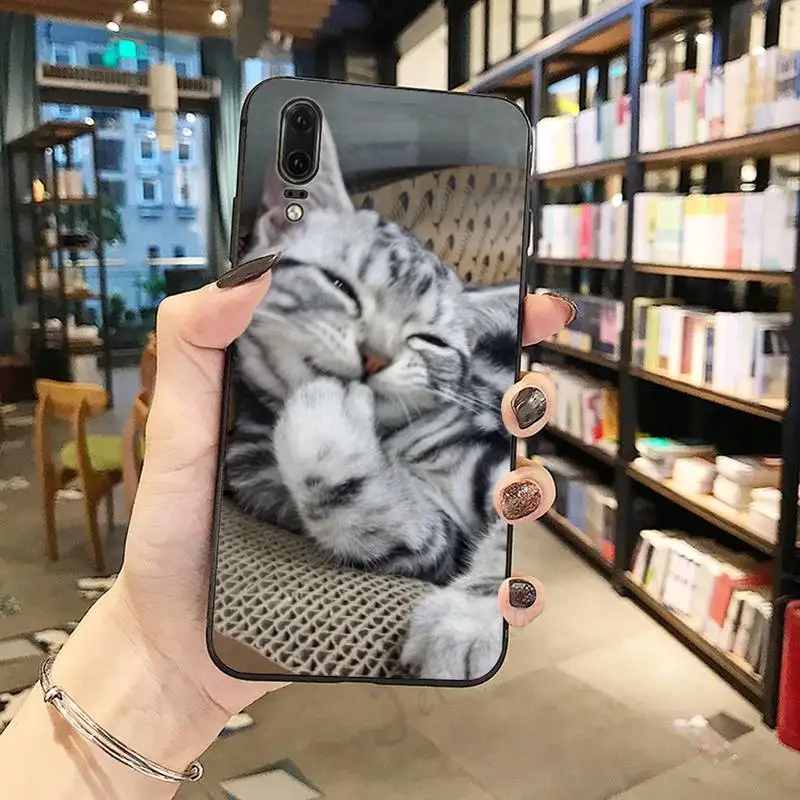 

Cute Animal Cat shell Phone Case For Huawei honor Mate P 10 20 30 40 Pro 10i 9 10 20 8 x Lite