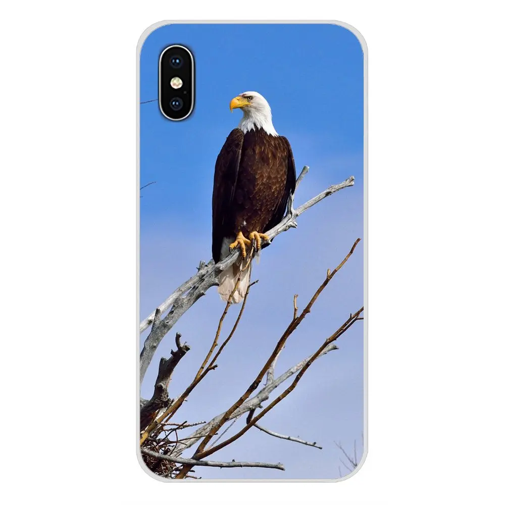 Аксессуары чехлы для телефонов Xiaomi Redmi 4A S2 Note 3 3S 4 4X5 Plus 6 7 6A Pro Pocophone F1 Bald Eagle in Flight |