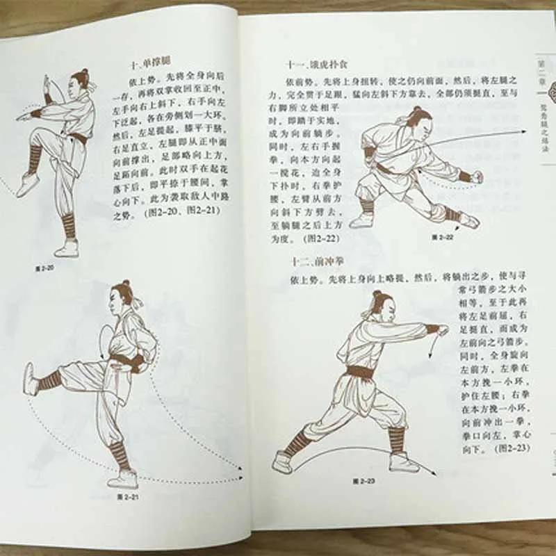 Фото Традиционные боевые искусства для бокса wushu №4
