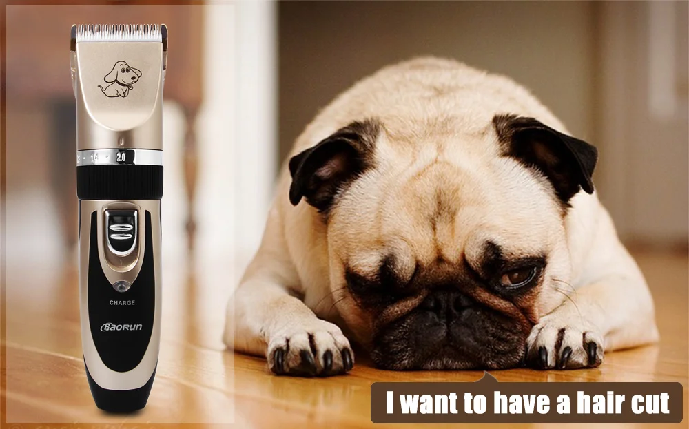 Professional Dog Hair Clippers Trimmer Electric Pet Grooming Tool Rechargeable Cat Shaver Hair Cutter Dog Haircut Machine EU US