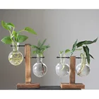 Креативная деревянная рамка, гидропонная ваза, стеклянный контейнер для цветочной композиции, настольное украшение для дома