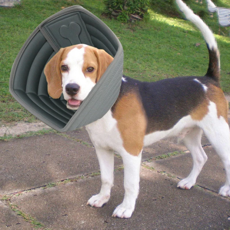 

Foldable Waterproof Cat Dog Protection Cover E-collar Not Block Vision Anti-bite Waterproof Wound Healing Cone Protective