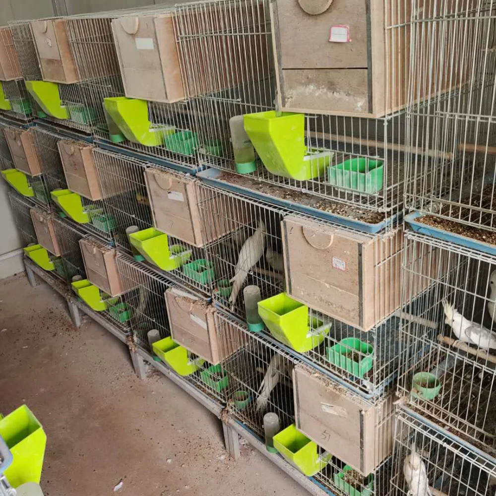 1 шт. кормушка для кормления попугаев|Ходунки| |