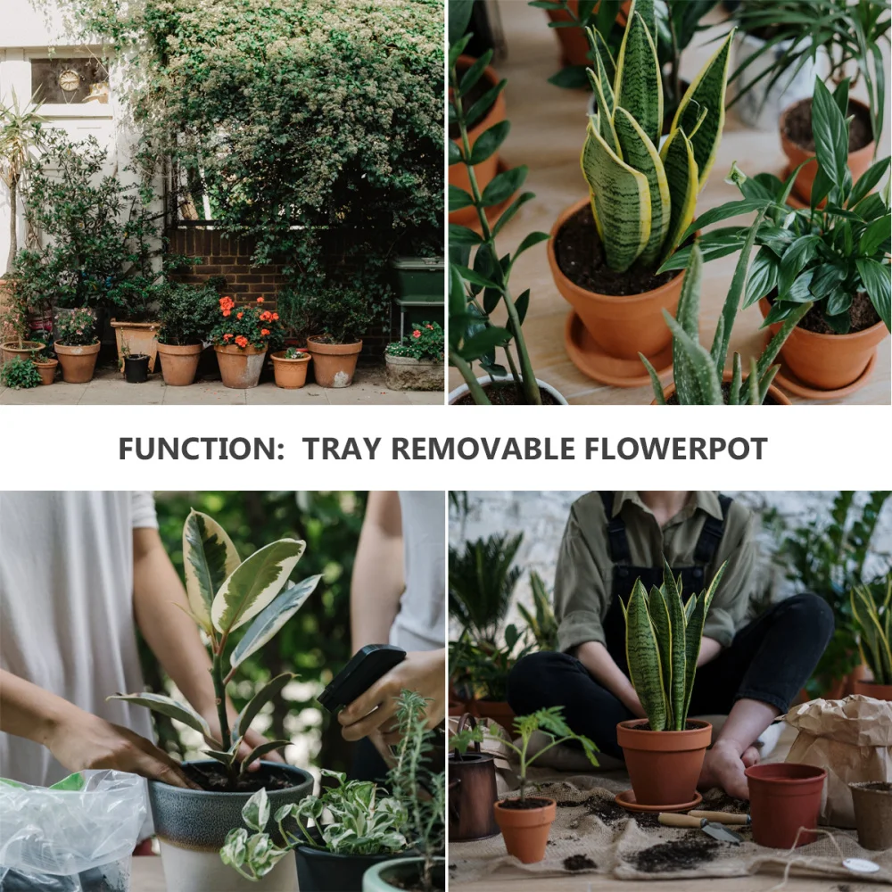 

Useful Plant Caddy Stand with Rolling Wheels Indoor Outdoor Holds (Black)