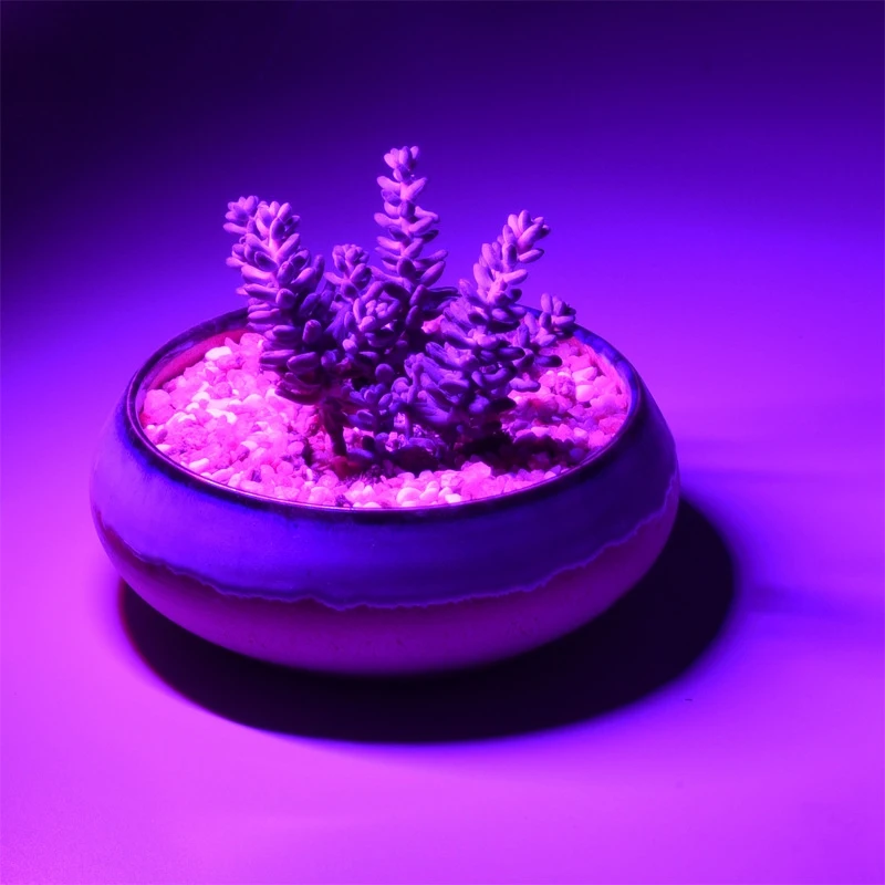 

Usb Led Plant Growth Lamp 2.5W Home Indoor Imitation Sun Fill Light Full Spectrum Flower Fleshy Growth Red Blue Light