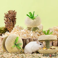 small animal natural chewing toy hamster grass molar feed toy pet teeth grinding supplies for chinchillas guinea pig rat