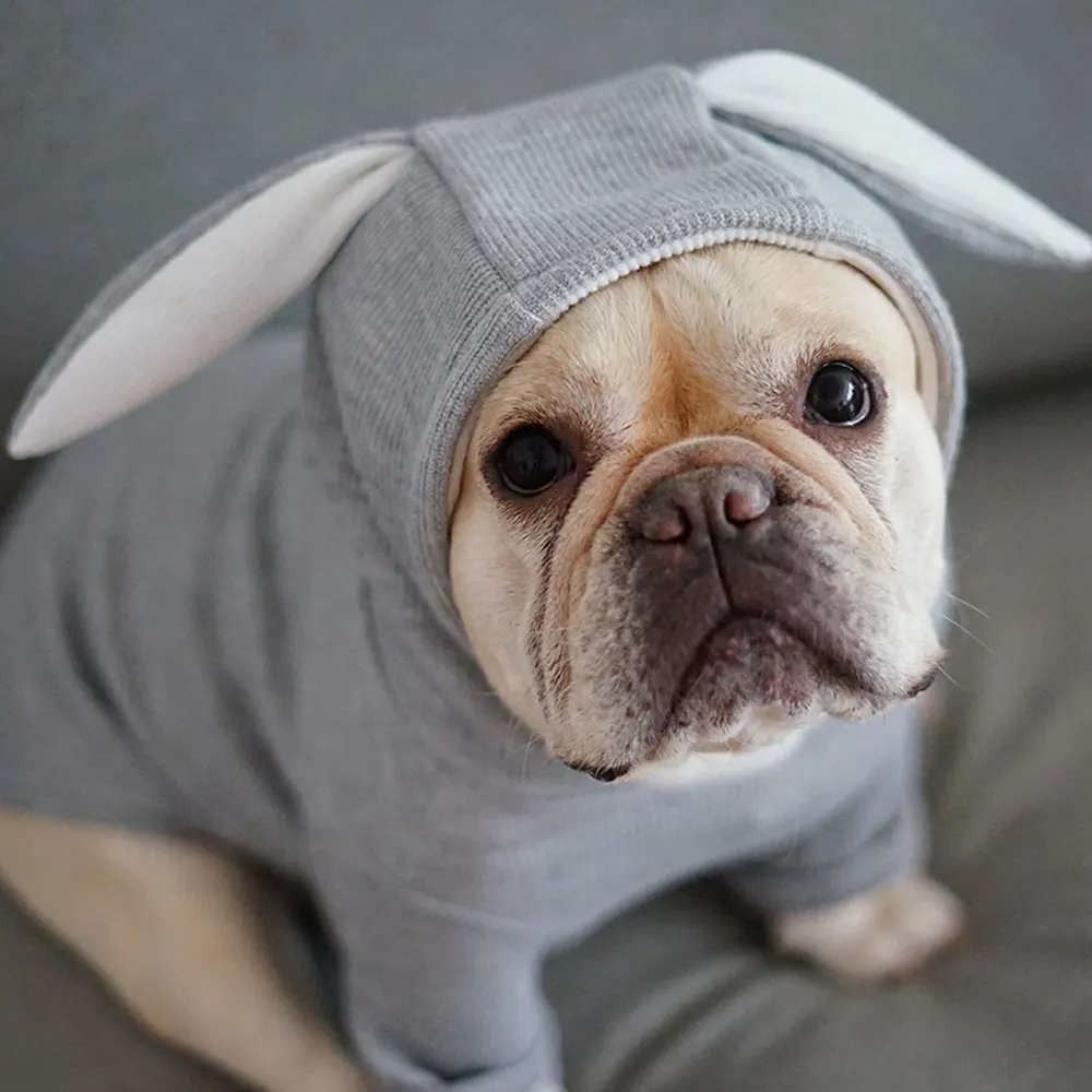 1 шт. костюм для собак и кроликов собаки кролика свитшот домашних животных одежда