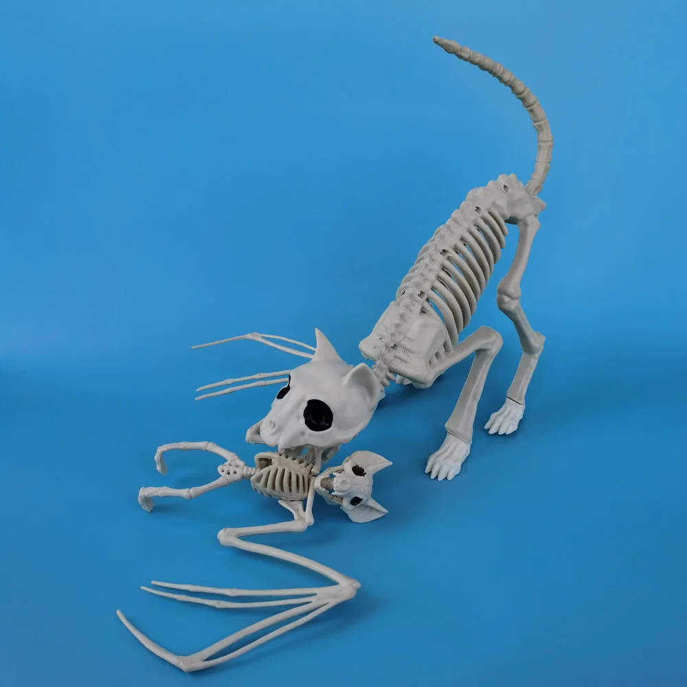 

Скелеты животных из ПВХ, набор из 2 штук