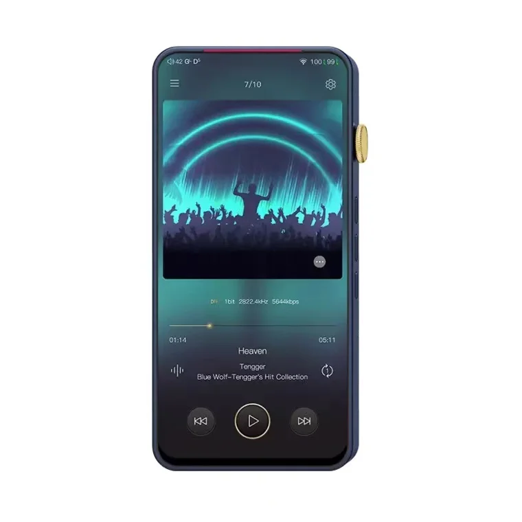 Флагманский двойной контроллер iBasso DX300 двойная электрическая система мощный Hi Fi