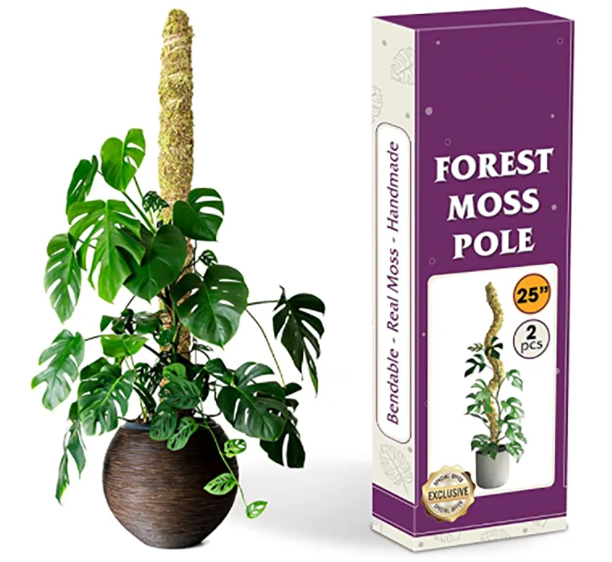 

2 Pack Moss Pole for Monstera Bendable Plant Stakes Handmade Slim Forest Moss Stick Potted Plants Perfect for Climbing Plants