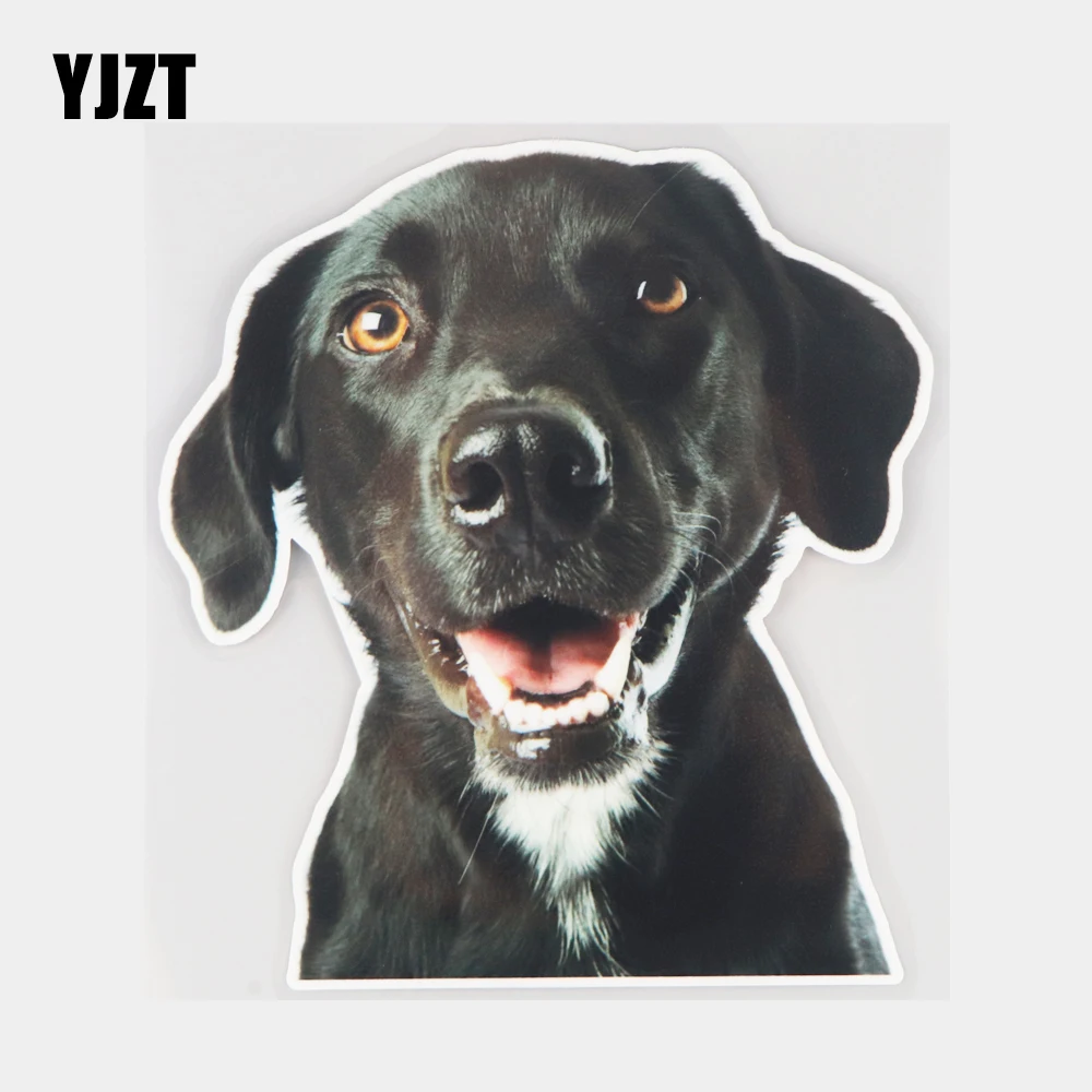 

YJZT 14,5 × 16 см с милой собачкой забавные украшение для автоматического кузова наклейки животных настенные украшения аксессуары 21A-0271