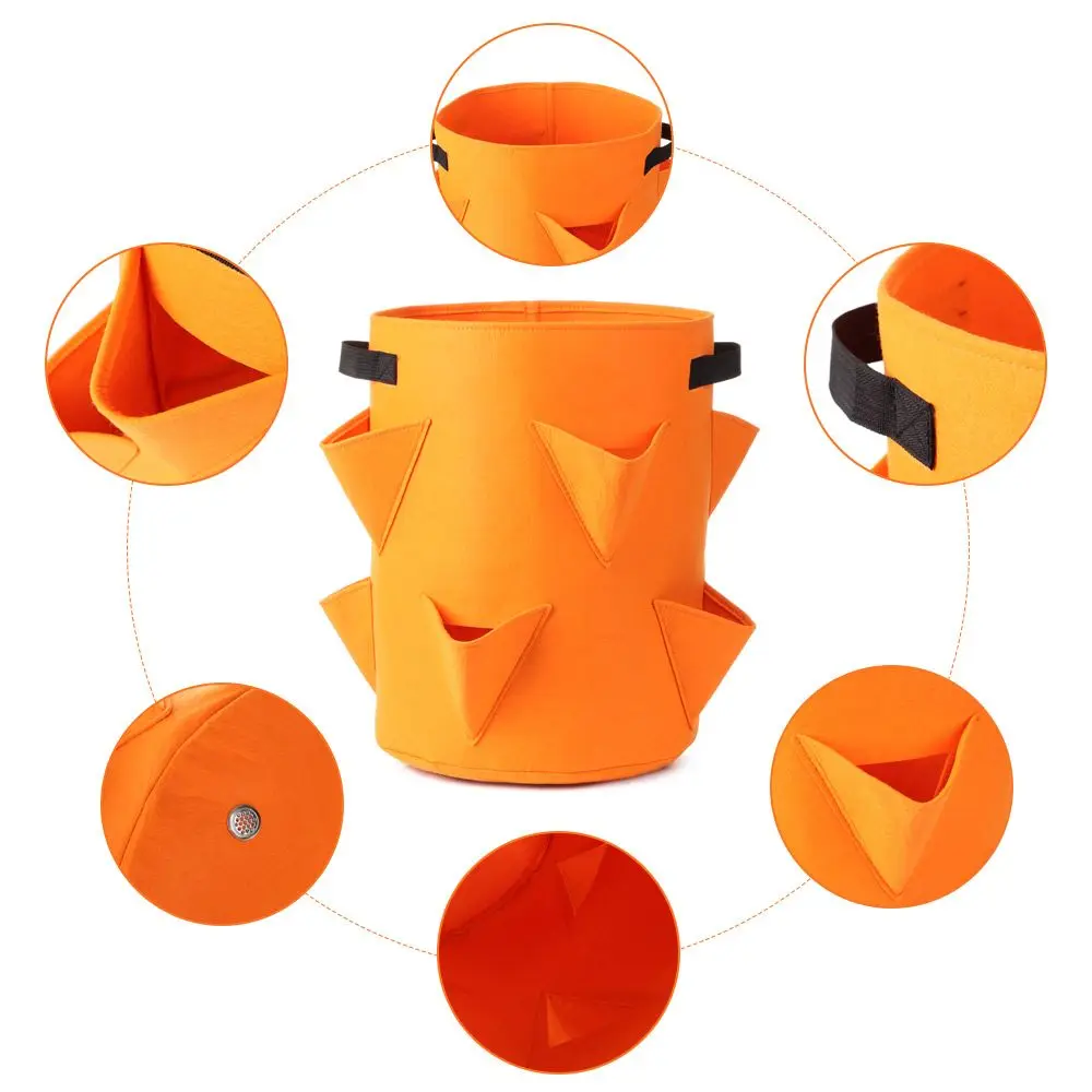 Альбом для выращивания клубники сделай сам|Тканевые горшки рассады| |