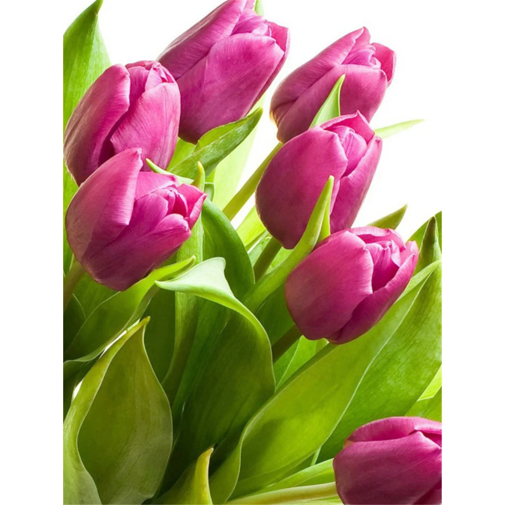 Набор для вышивки крестиком тюльпаны набор рукоделия хлопковая нить холст с