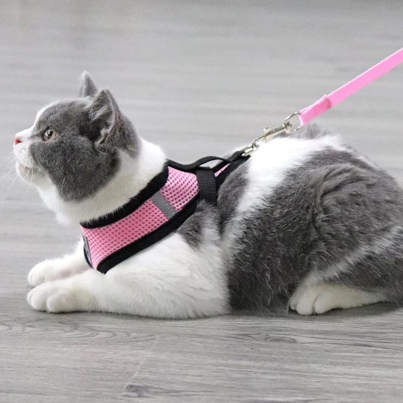 Шлейка-поводок для домашних животных Регулируемый жилет щенков и кошек сетчатая