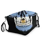 Маска с флагом Аргентины и черепом Пылезащитная многоразовая Серебристая маска для гордости защитный чехол унисекс Респиратор маска для рта