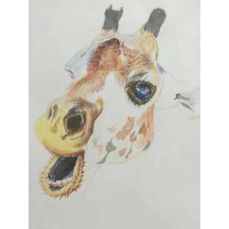 

5D DIY Diamond Painting animal giraffe colors Full Square&Round Diamond mosaic paint Diamond embroidery Cross stitch home decor