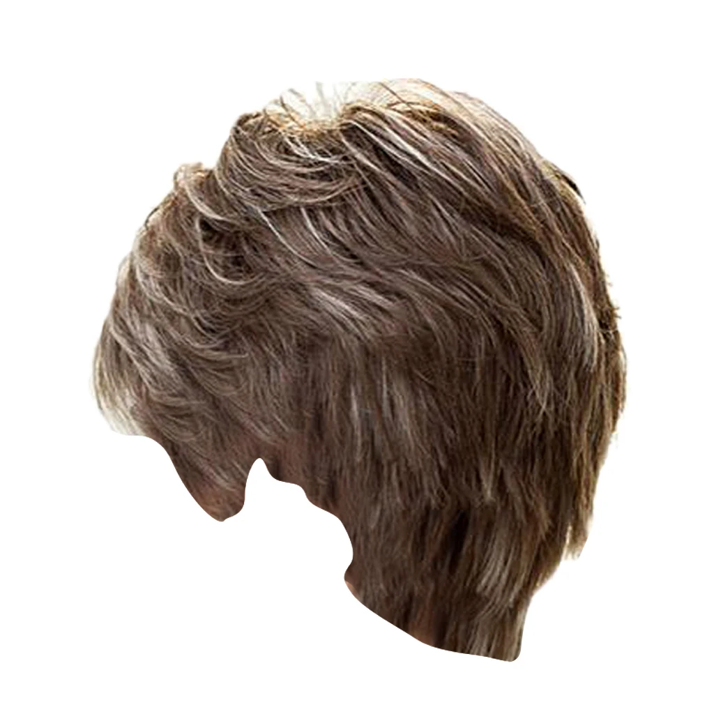 

Women Short Wig Human Hair & Bangs Straight Layered Grey Highlight Cosplay Full Wigs with Wig Cap