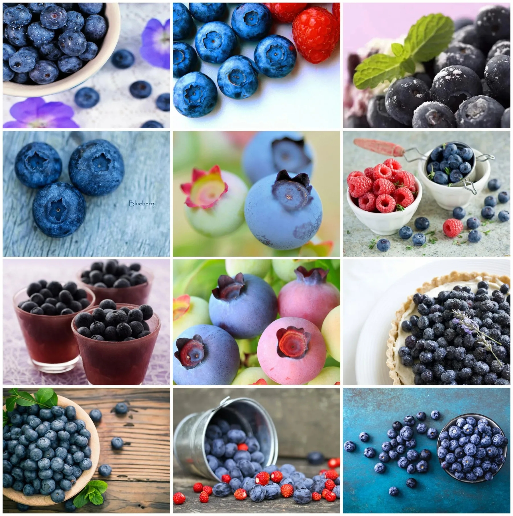 

EverShine Женская мозаика, искусство, черника, вышивка крестиком, вышивка, мозаика, искусство, домашний декор