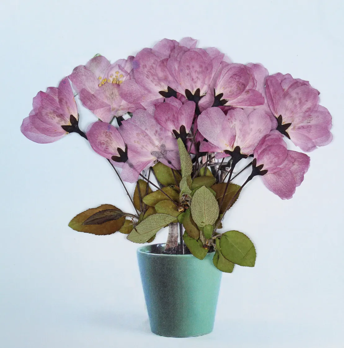 Cherry Blossom Begonia Flower Dry Embossing Plant Soy Wax Candle Accessories Soap Making Kit Scented Candles Beeswax | Дом и сад