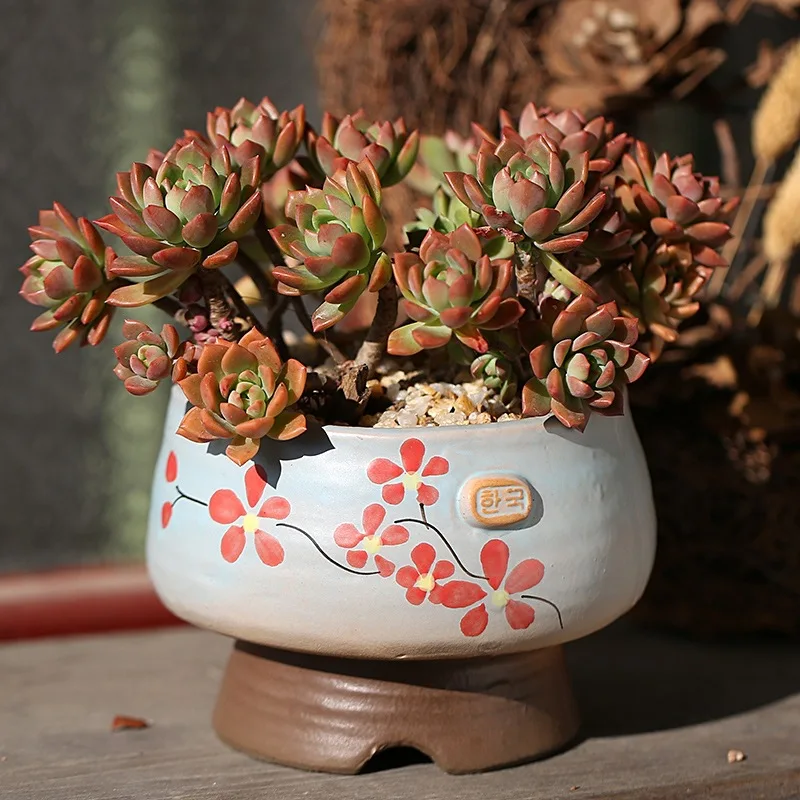 

Round Mini Ceramic Flower Pot Creative Pattern Graffiti Succulent Plant Flower Pot