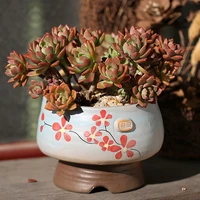round mini ceramic flower pot creative pattern graffiti succulent plant flower pot