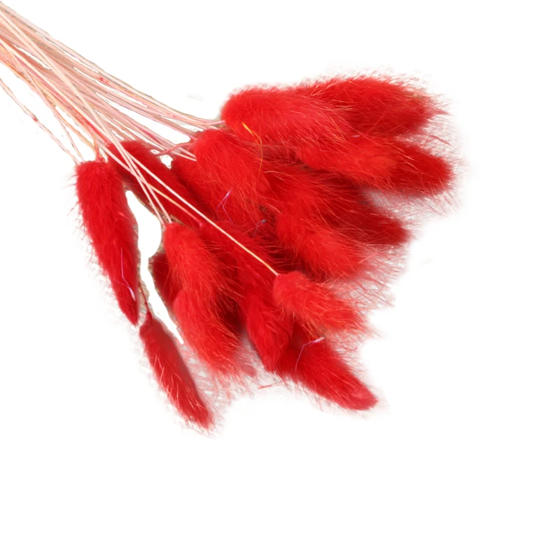 

Natural Dry Flower Buntail Flower Accessories Buntail Flower Bouquet Idyllic Style Home Wedding Table Vase Decorative Bouquet