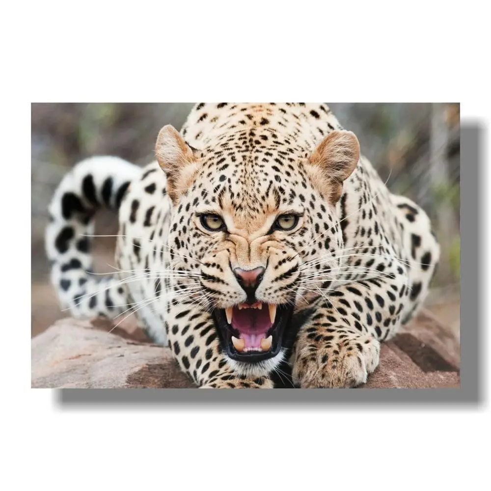 Свирепый Леопардовый Гепард бегущий плакат дикая природа животное фотография