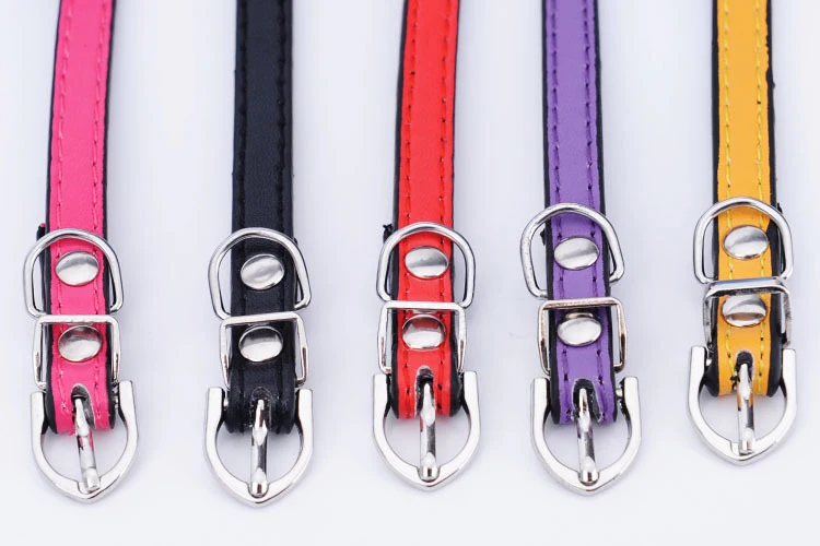 

Candy color adjustable fashion multicolor bell collar collar dog kitten dog cat pet