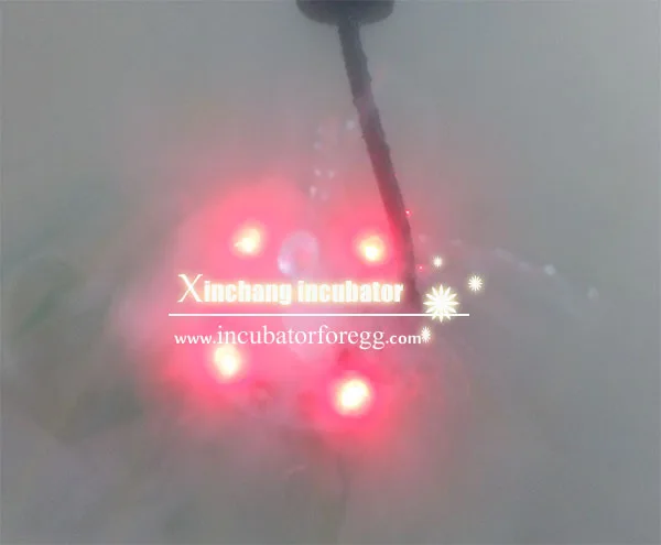 

Ultrasonic humidifier for egg incubator and home used
