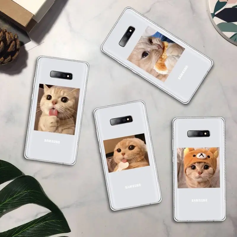 

Cute Cat Phone Case Transparent for samsung A 21s 50 71 S 8 9 20 20fe note 10 20 ultra plus