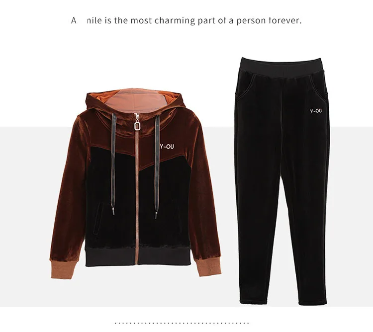 Осенне-зимний комплект из 2 предметов, женские велюровые модные повседневные Мягкие Толстовки на молнии и штаны, спортивные костюмы с вышивкой, комплекты, M-3XL