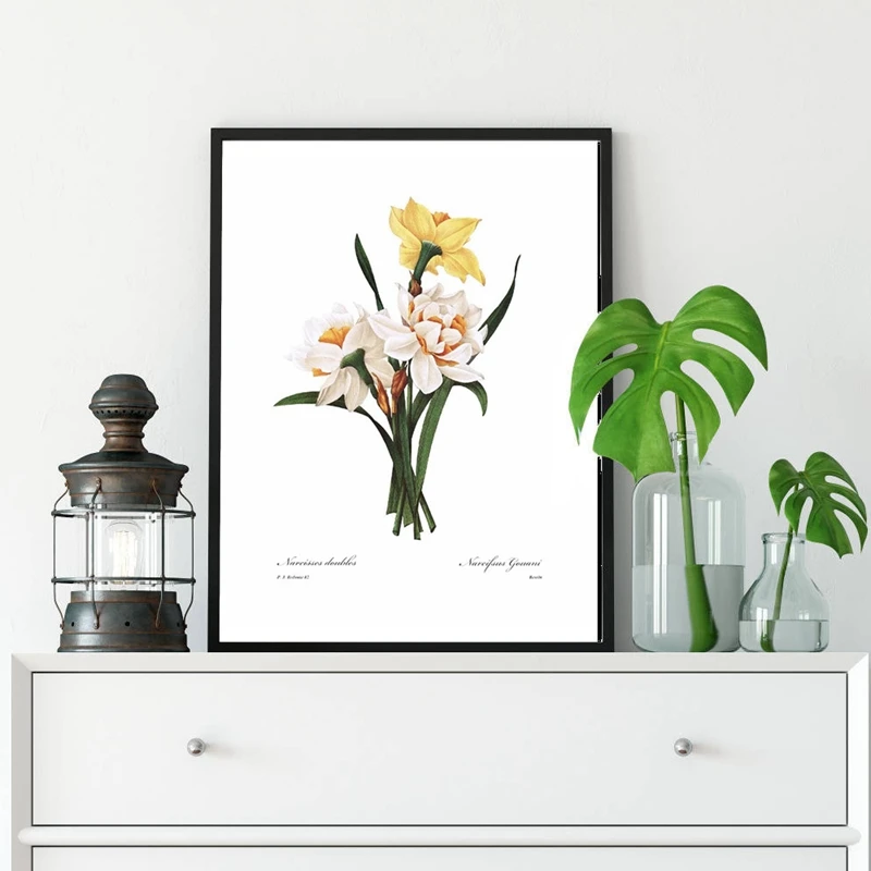 Ботанический постер Daffodil Весенняя настенная декоративная картина для кухни и