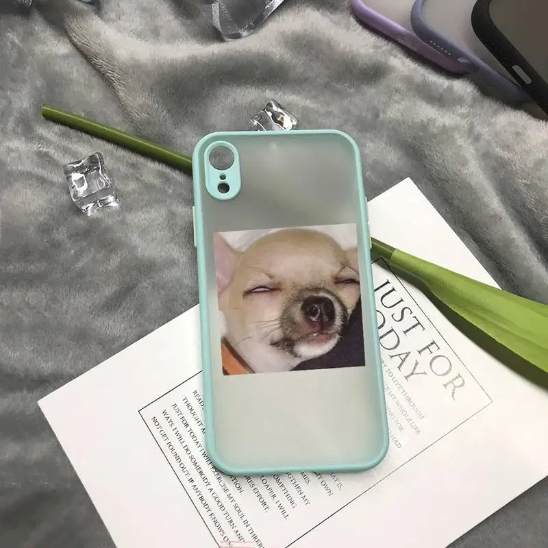 

Cute Cute Animal Cat Dog Phone Clear Case For Iphone 7 8 Plus X Xs Max Xr 11 12 Mini Pro Max TPU Cover