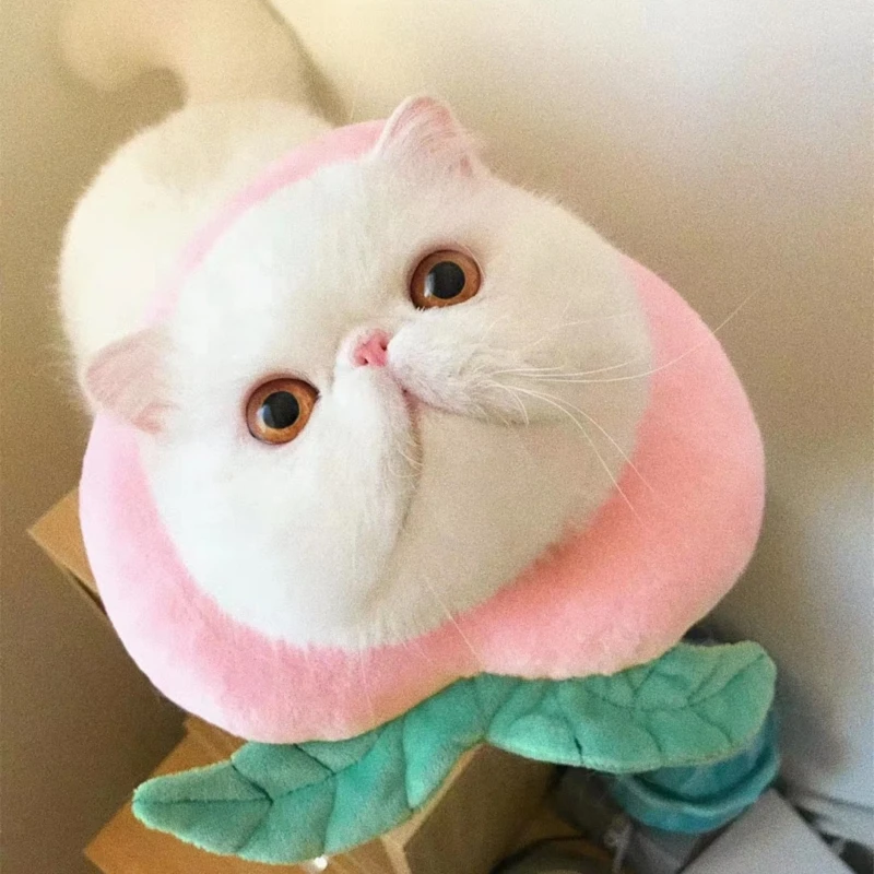 

Cat Collars Dog Recovery Sleeve Pet Accessories for Small Medium Dog Scarf Cute Fruit Collar Avocado Peach Hat Elizabeth Hooded