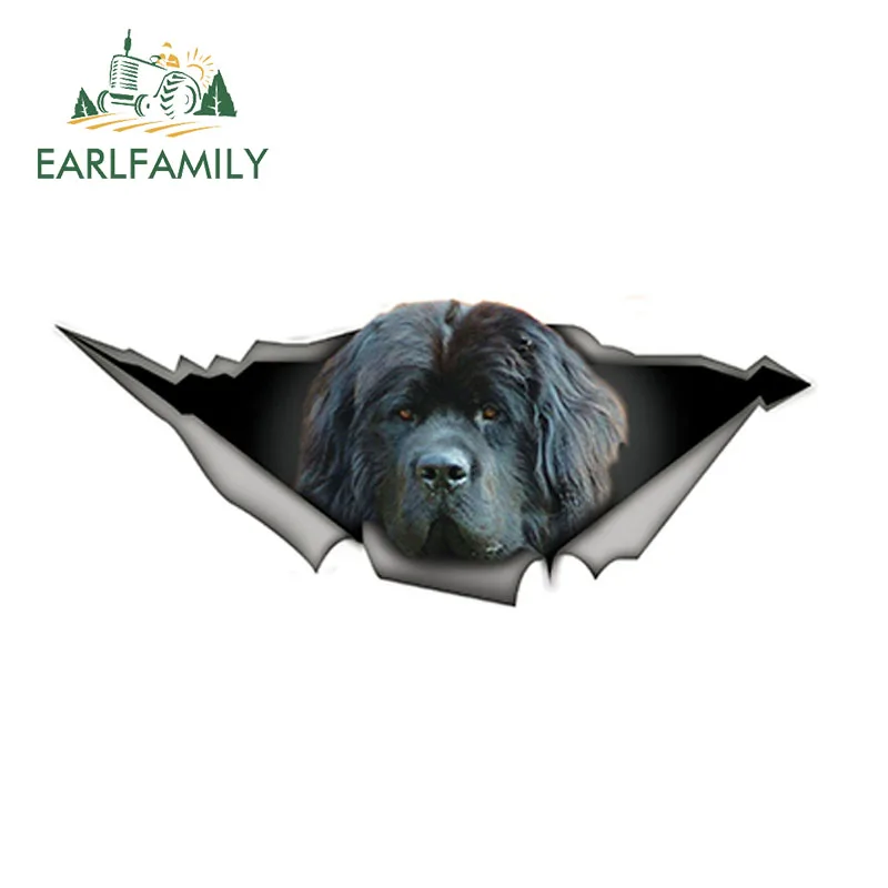 EARLFAMILY 15 см x 6 забавные Ньюфаундленд 3D автомобиля Стикеры Dewfie ПЭТ наклейка с