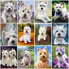 5D алмазная живопись White Dog West Highland White Terrier, полностью Алмазная животная, домашнее животное, алмазная вышивка сделай сам, мозаика, украшение для дома