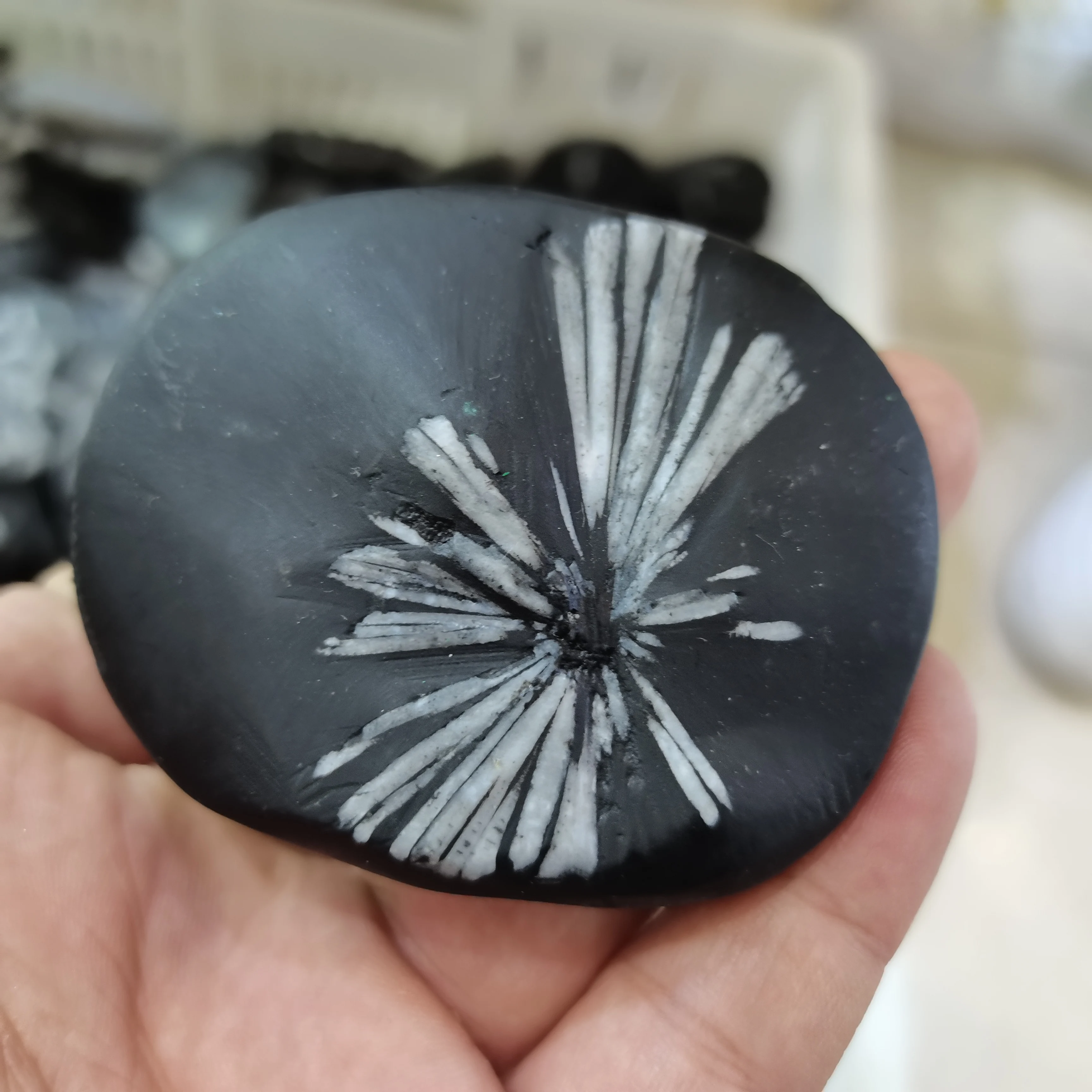 

AAAA+ Natural Crystals Quartz Chrysanthemum Stones Specimen Palm Energy Reiki Home Aquarium Decoration Accessories Gemstone 1pcs