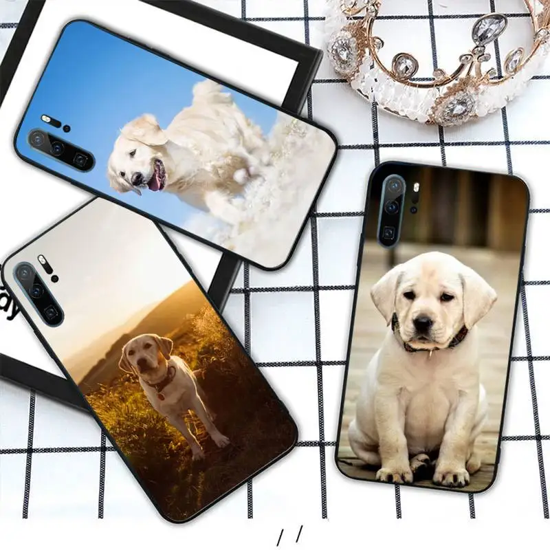 

Labrador Puppies Dog cute animal Phone Case For Huawei honor Mate P 10 20 30 40 i 9 8 pro x Lite smart 2019 nova 5t