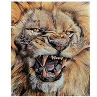 full squareround drill 5d diy diamond painting lion face 3d diamond embroidery animals cross stitch home decor gift